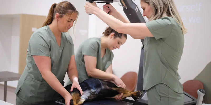 Why some care belongs in the emergency setting