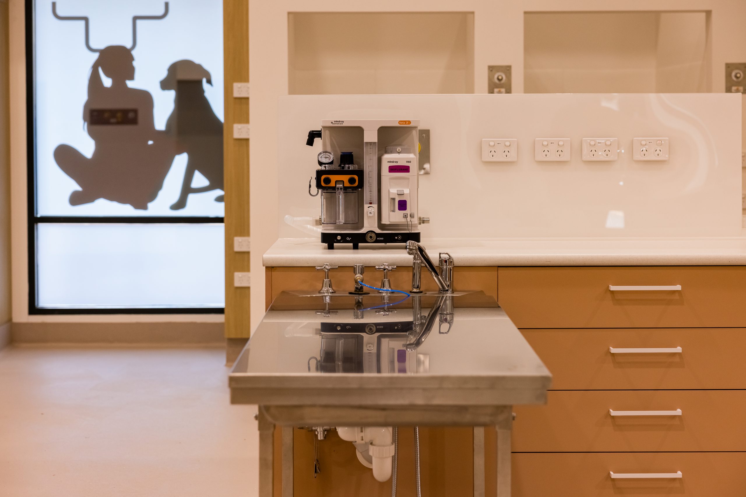 Emergency veterinary treatment area with examination table, anaesthetic equipment and adjacent consult room at Nexus Emergency Vet Adelaide.