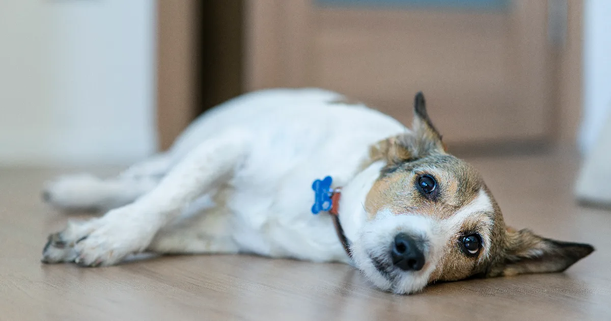 When to start worrying and seek emergency care